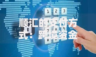 顺汇的支付方式：跨境资金流动的隐形安全通道