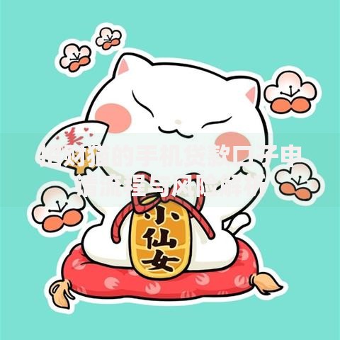 招财猫的手机贷款口子申请流程与风险解析