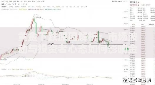 2025不看征信和大数据的网贷有哪些最新分析