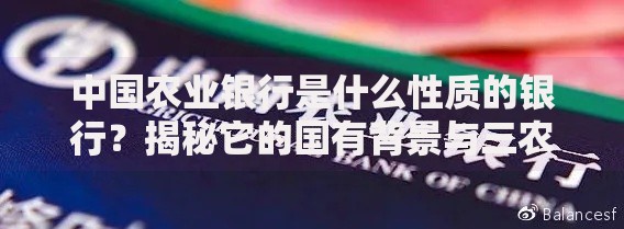 中国农业银行是什么性质的银行？揭秘它的国有背景与三农服务使命
