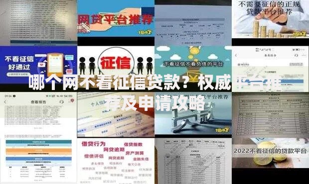 哪个网不看征信贷款？权威平台推荐及申请攻略