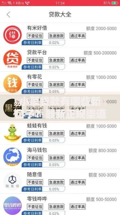 小额贷款有哪些新口子？最新正规渠道深度解析