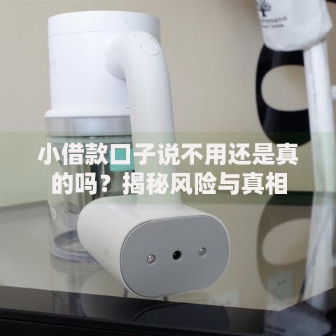 小借款口子说不用还是真的吗？揭秘风险与真相