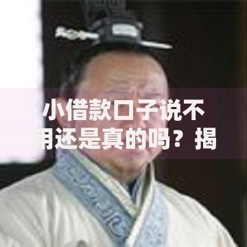 小借款口子说不用还是真的吗？揭秘风险与真相