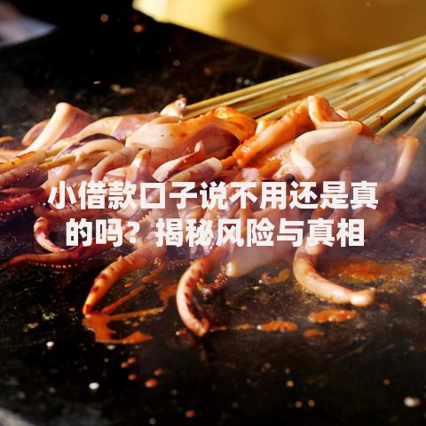 小借款口子说不用还是真的吗？揭秘风险与真相