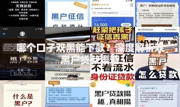 哪个口子双黑能下款？深度解析双黑户贷款渠道