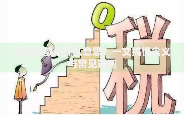 已缴税额是什么意思？一文搞懂含义与常见疑问