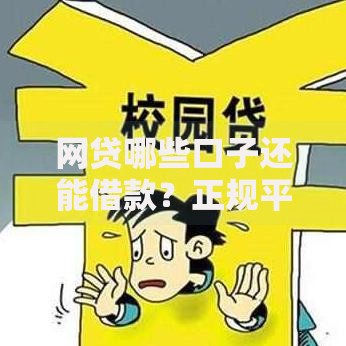 网贷哪些口子还能借款？正规平台解析与选择指南