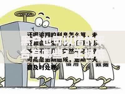 黑户也可以借的平台有哪些？正规低息渠道解析