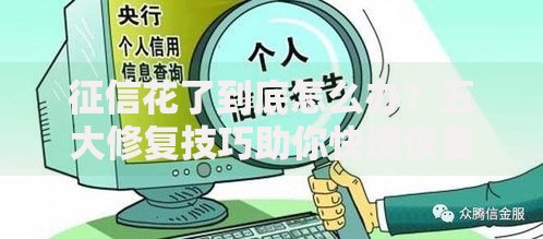 征信花了到底怎么办？五大修复技巧助你快速恢复信用