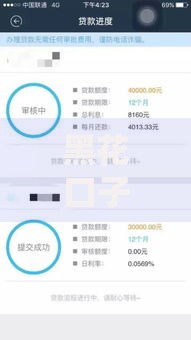 黑花口子秒有下款的真的能快速放款吗？