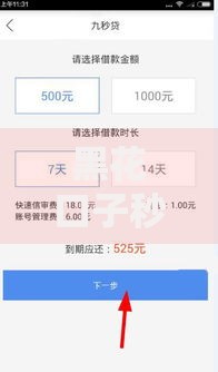 黑花口子秒有下款的真的能快速放款吗？
