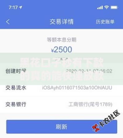 黑花口子秒有下款的真的能快速放款吗？