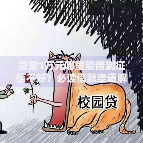 急需1万元哪里能借到征信不好？必读借款渠道解析