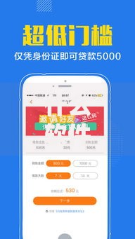 什么软件借钱必通过年龄超过55？深度解析贷款渠道