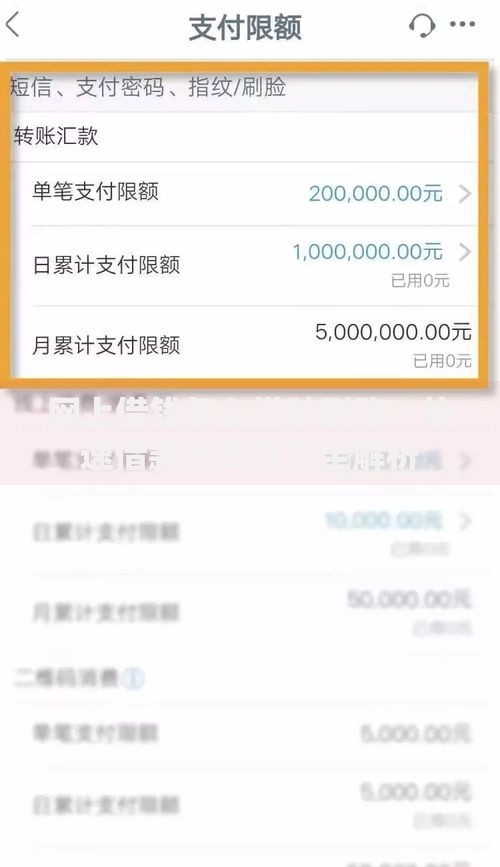 网上借钱怎么借秒到账？快速借款到账技巧全解析
