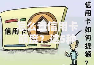 怎么查信用卡额度？这5种方法简单又靠谱