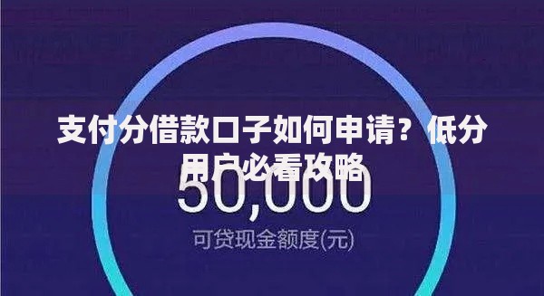 支付分借款口子如何申请？低分用户必看攻略