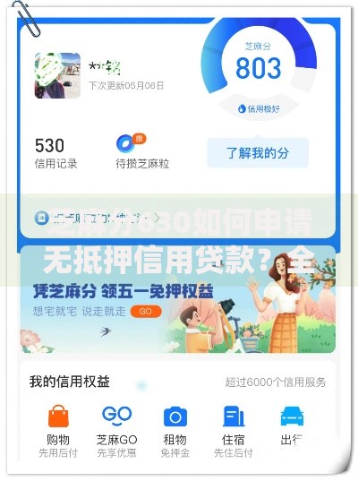芝麻分630如何申请无抵押信用贷款？全流程详解