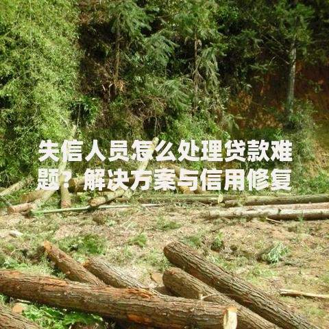 失信人员怎么处理贷款难题？解决方案与信用修复指南