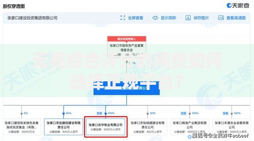 无视综合评分的网贷如何选择正规平台？
