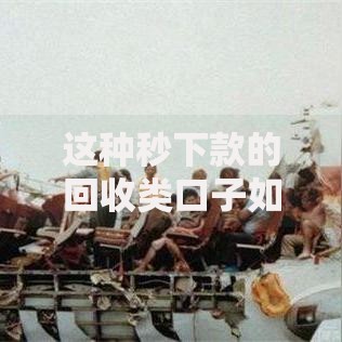 这种秒下款的回收类口子如何选择?全面解析与风险提示 这种秒下款的回收类口子如何选择?全面解析与风险提示