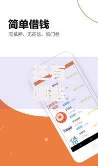 还有哪些口子能借大额？高额度贷款渠道深度解析