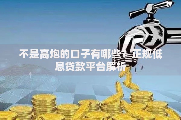 不是高炮的口子有哪些？正规低息贷款平台解析