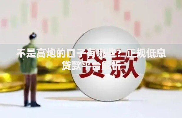 不是高炮的口子有哪些？正规低息贷款平台解析