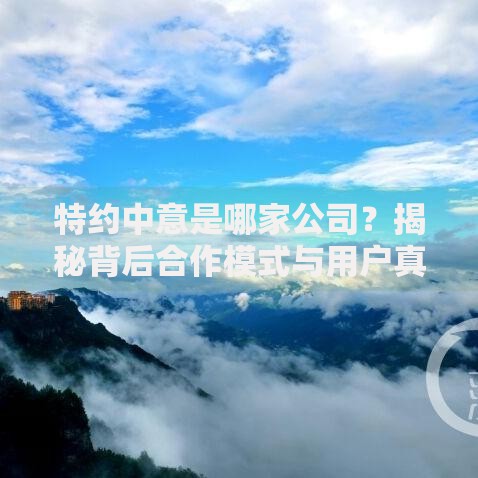 特约中意是哪家公司？揭秘背后合作模式与用户真实评价！