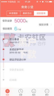 黑户下款后不回访：贷款风险与合规应对指南