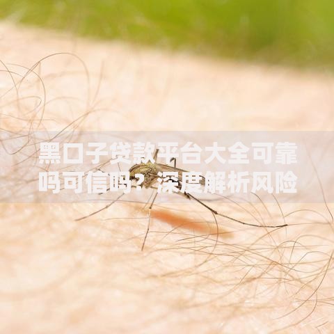 黑口子贷款平台大全可靠吗可信吗？深度解析风险与合规路径