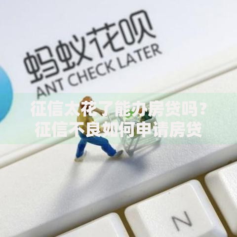 征信太花了能办房贷吗？征信不良如何申请房贷