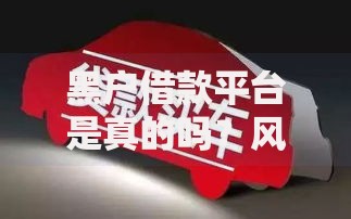 黑户借款平台是真的吗？风险与真相深度解析