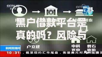 黑户借款平台是真的吗？风险与真相深度解析
