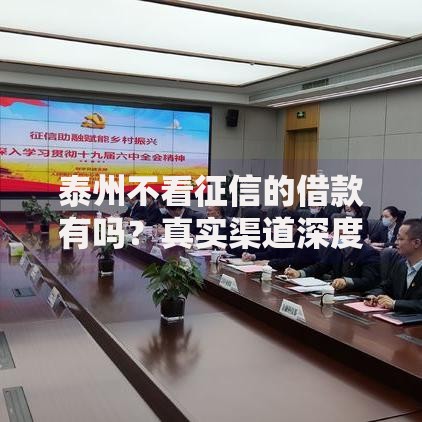 泰州不看征信的借款有吗？真实渠道深度解析
