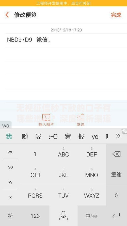 无视征信秒下款的口子有哪些选择？深度解析渠道与风险
