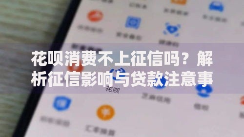 花呗消费不上征信吗？解析征信影响与贷款注意事项