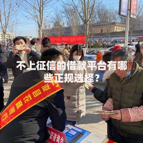 不上征信的借款平台有哪些正规选择？