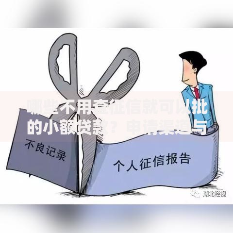 哪些不用查征信就可以批的小额贷款?申请渠道与条件解析 哪些不用查征信就可以批的小额贷款?申请渠道与条件解析