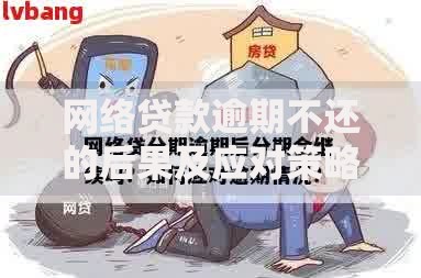 网络贷款逾期不还的后果及应对策略解析