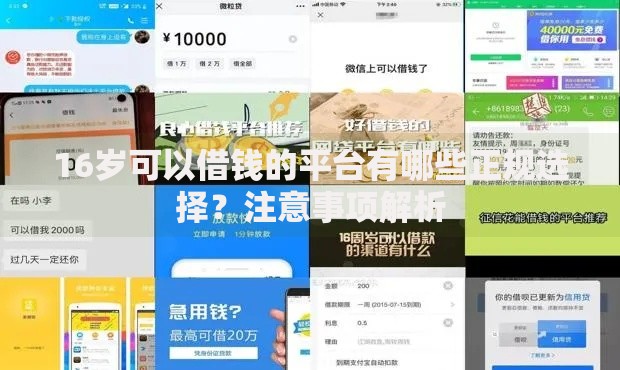 16岁可以借钱的平台有哪些正规选择？注意事项解析