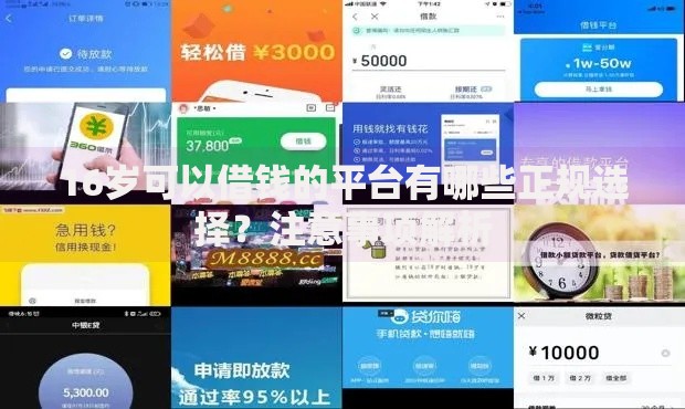 16岁可以借钱的平台有哪些正规选择？注意事项解析