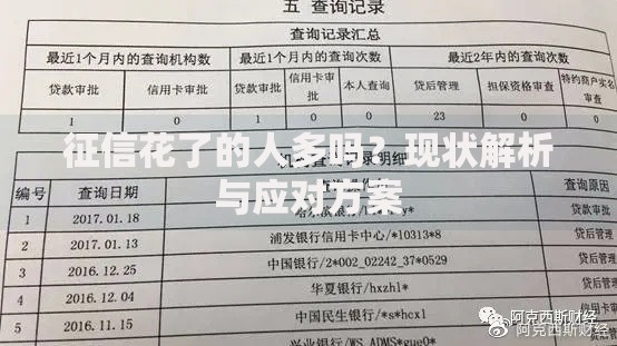 征信花了的人多吗？现状解析与应对方案