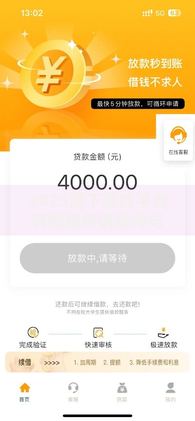 2025能下款的平台有哪些申请条件与风险防范