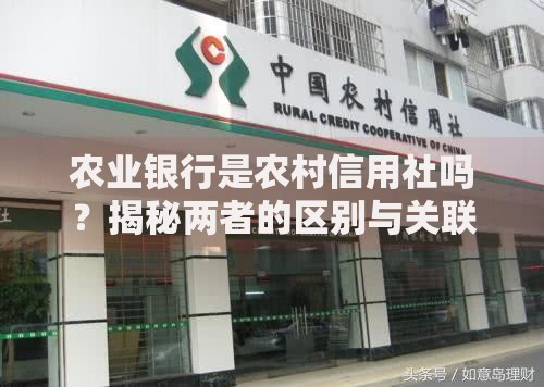 农业银行是农村信用社吗？揭秘两者的区别与关联