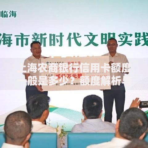 上海农商银行信用卡额度一般是多少？额度解析与提升技巧