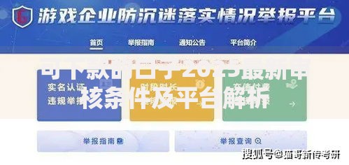 可下款的口子2025最新审核条件及平台解析