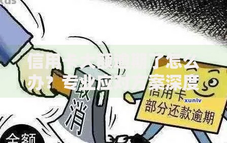 信用卡大额逾期了怎么办?专业应对方案深度解析 信用卡大额逾期了怎么办?专业应对方案深度解析