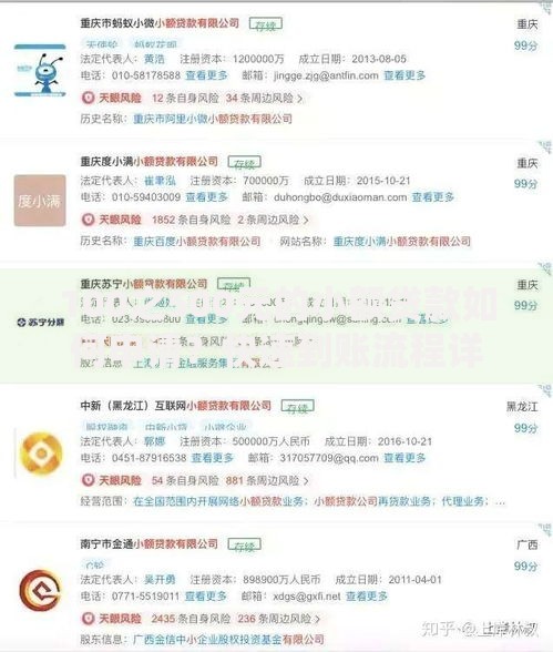 100之500元的小额贷款如何申请？快速到账流程详解
